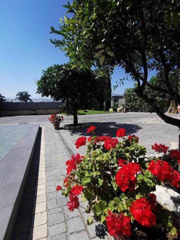 Atrium Pompei Villa Exterior photo